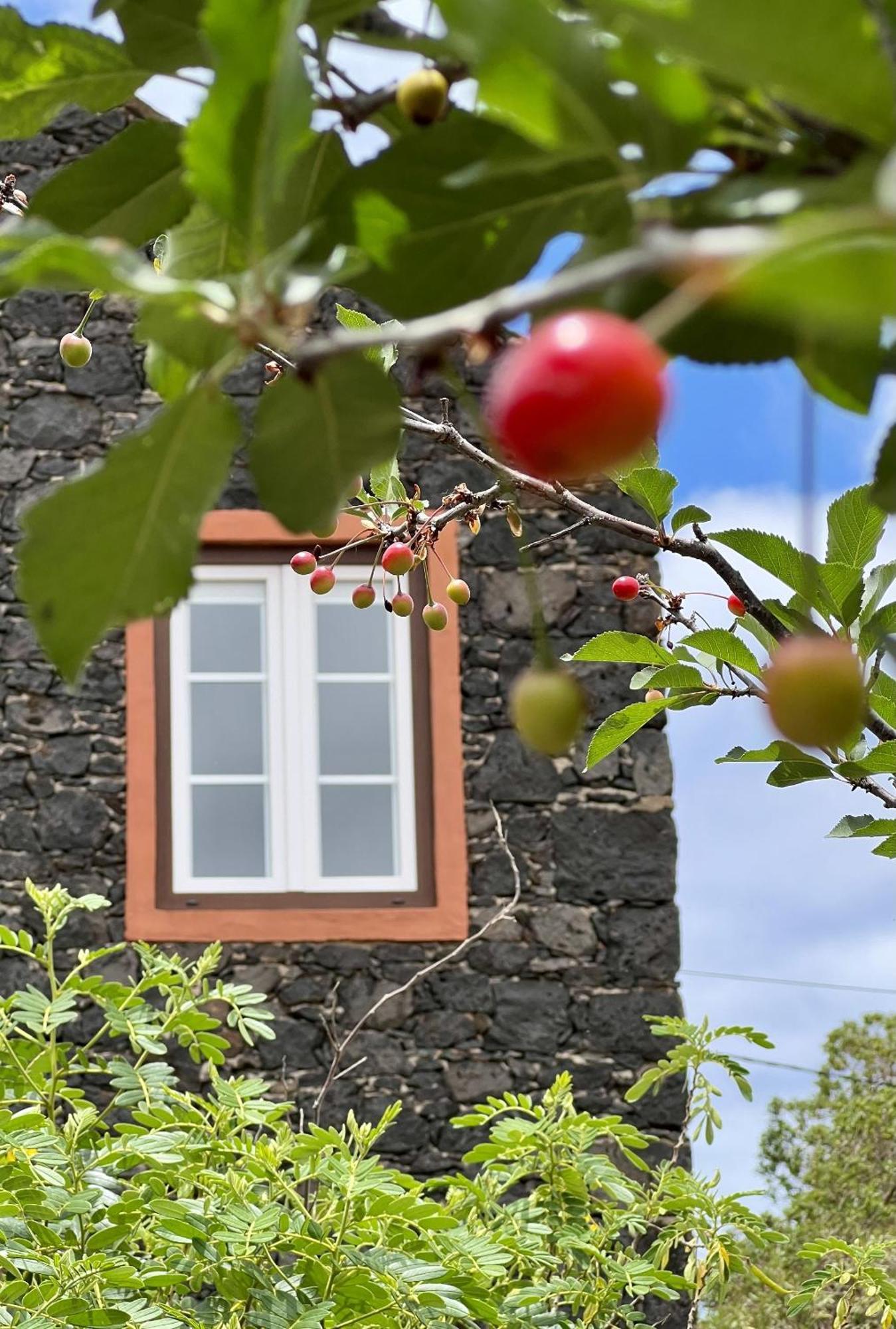 Erese Cozy Rural House Las Guindas, El Hierro מראה חיצוני תמונה