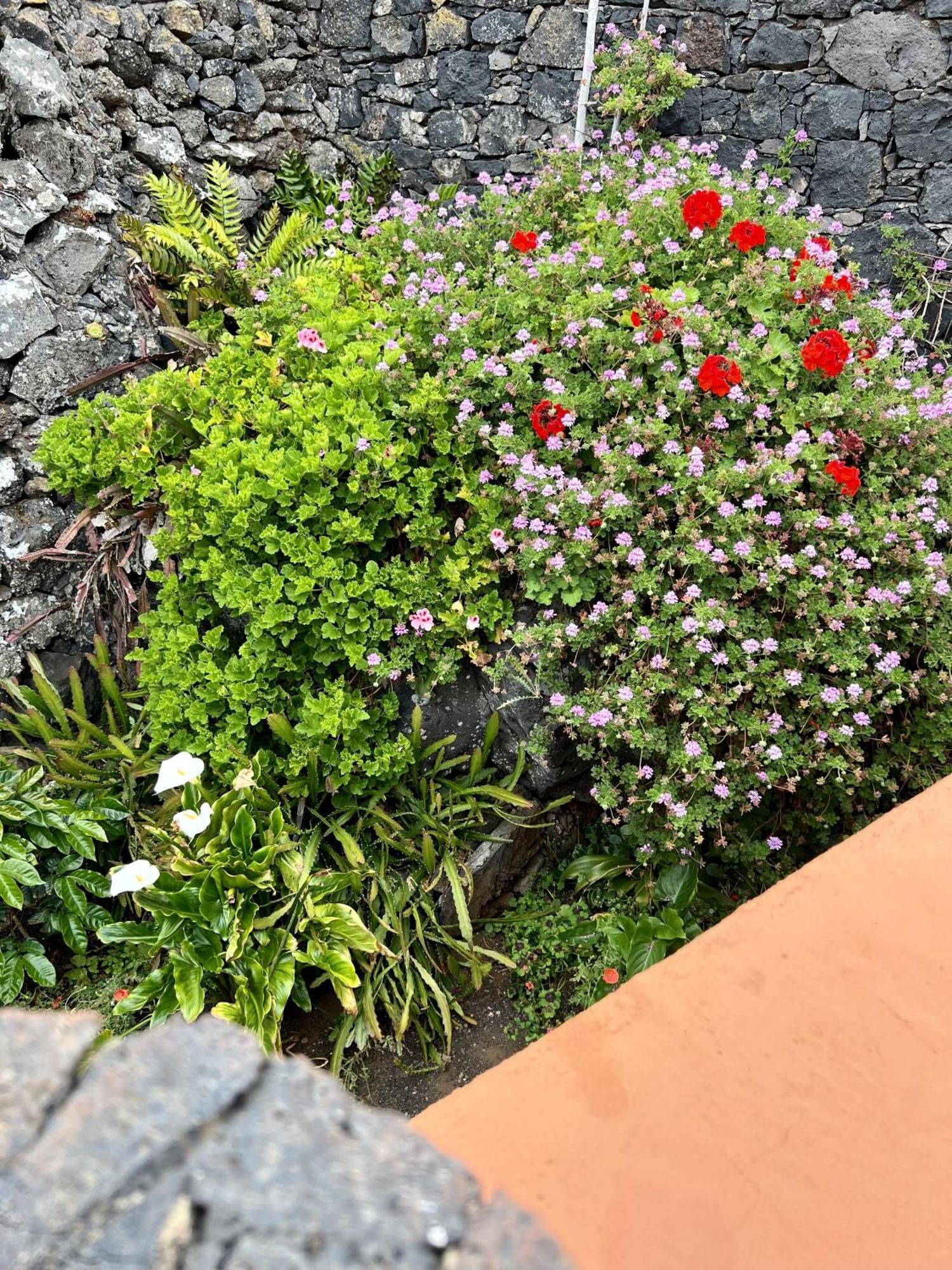 Erese Cozy Rural House Las Guindas, El Hierro מראה חיצוני תמונה
